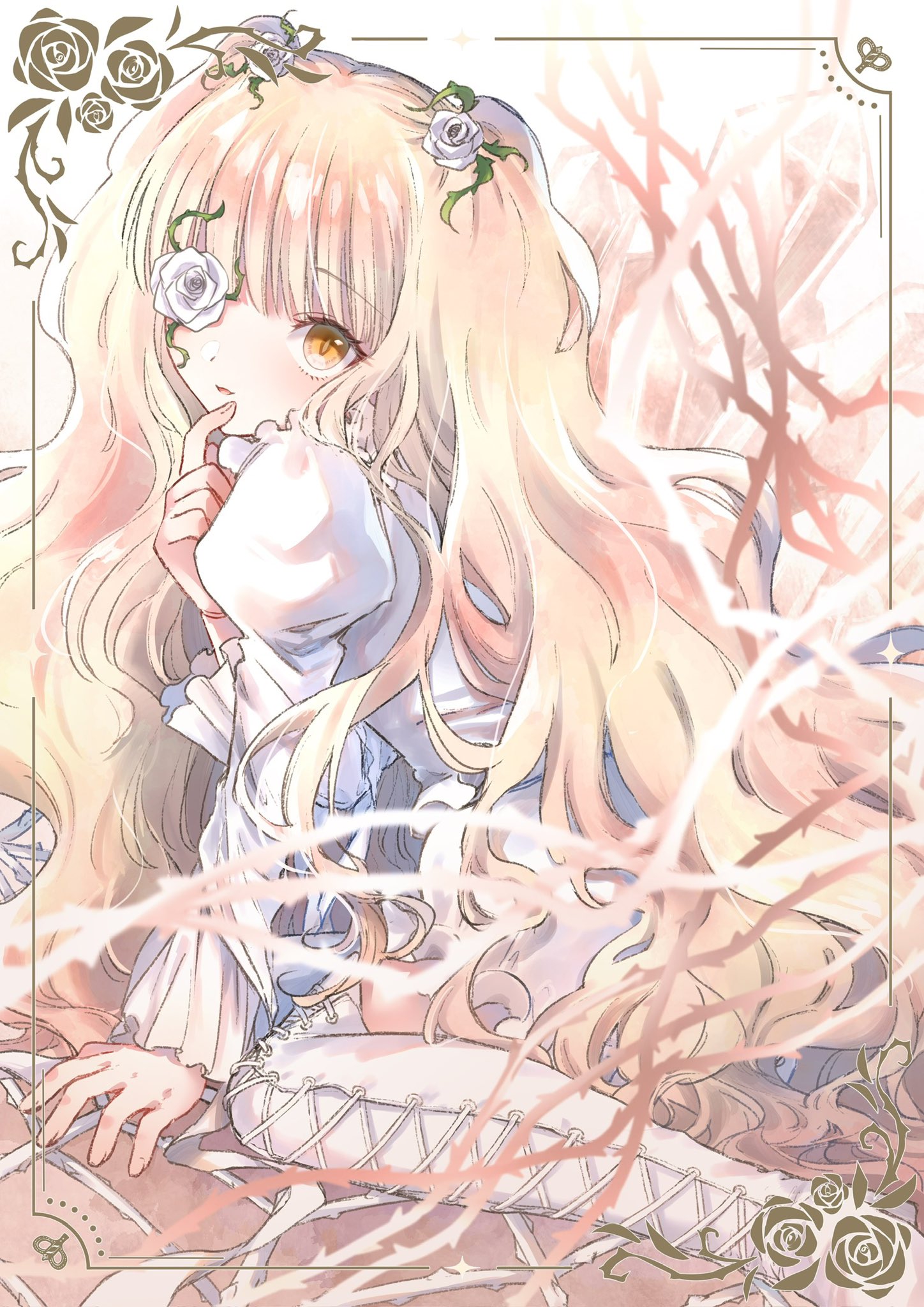 1448x2048
