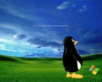 600x480