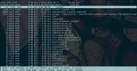 1337x701