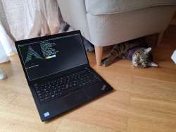 1080x810
