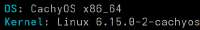 428x66