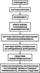 336x601