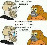 498x475