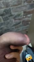 352x640