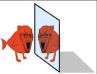 563x433