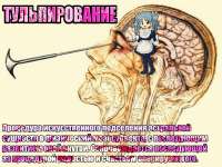 1280x960