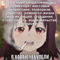 736x736
