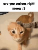 488x640