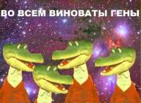 512x377