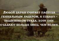 960x663