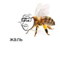 807x807