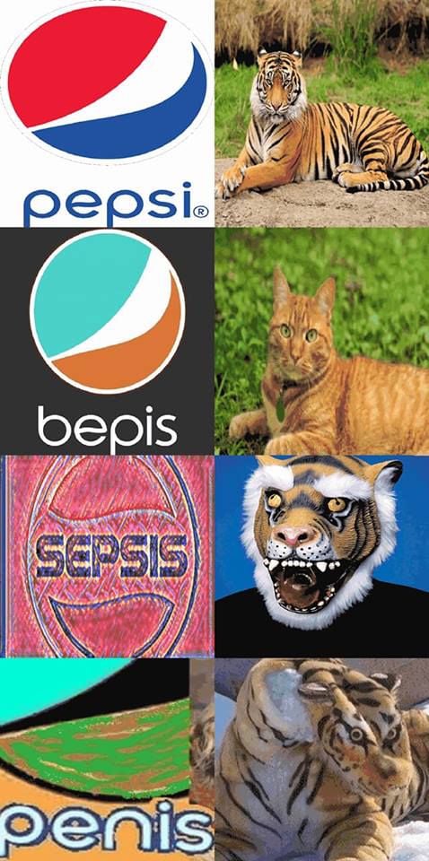 478x960