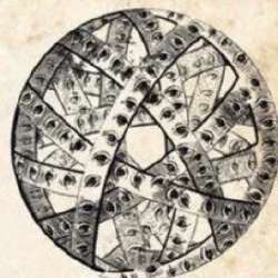273x273