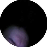 384x384