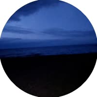 384x384