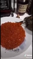 360x634