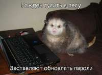 1080x799