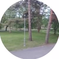 384x384