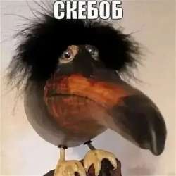 480x480