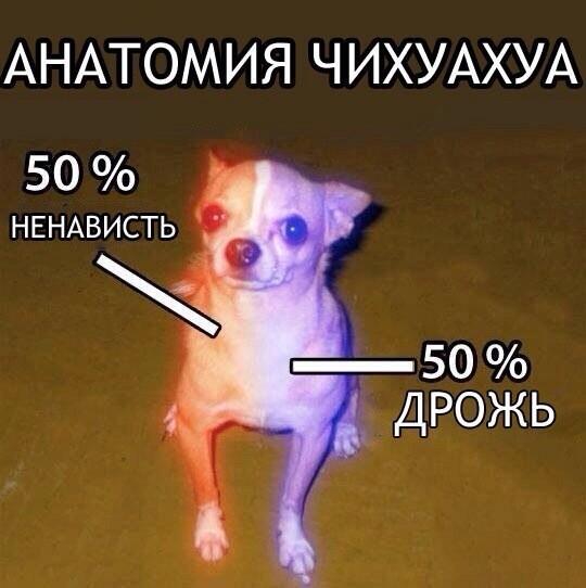 540x542