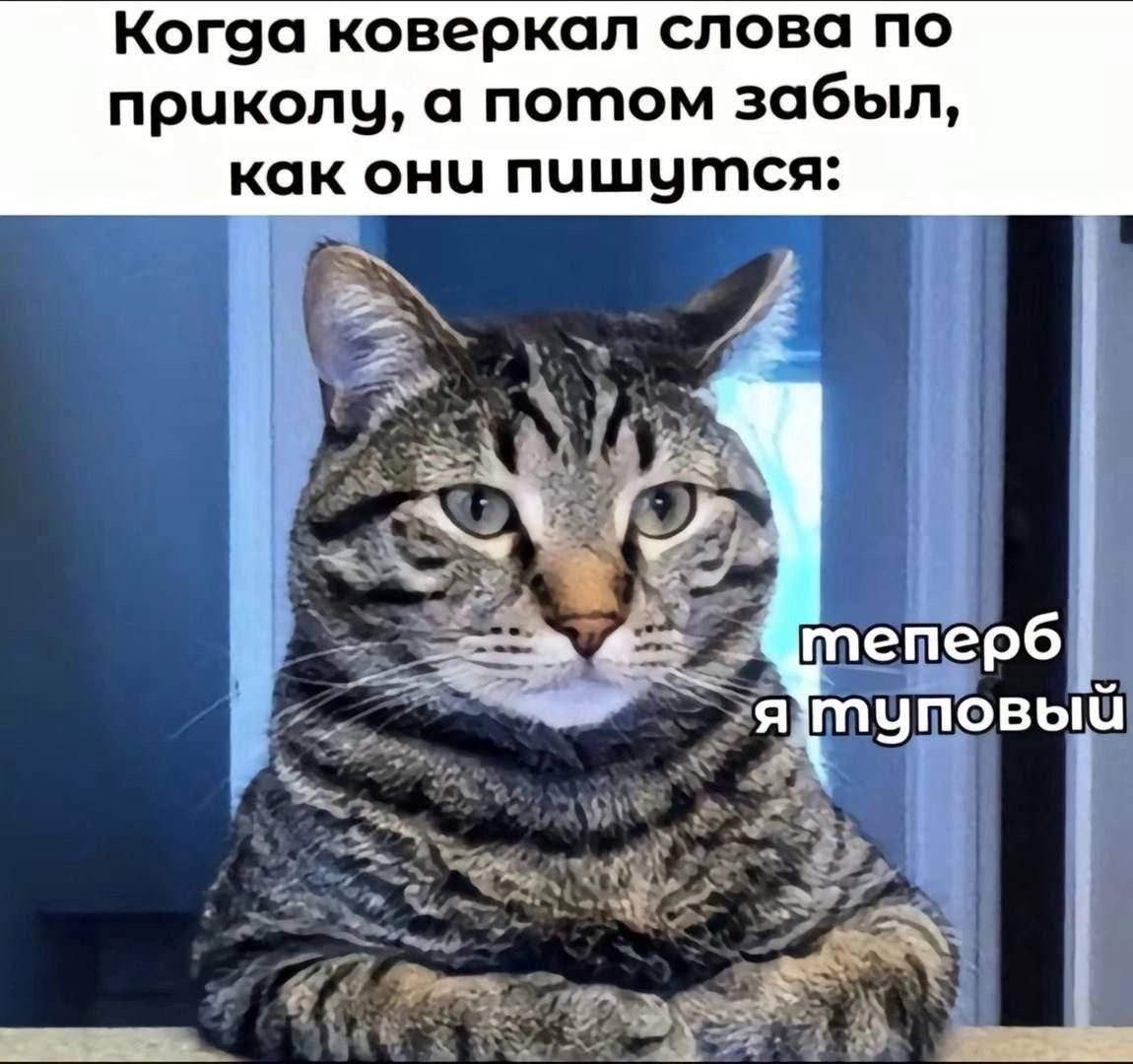 1150x1080