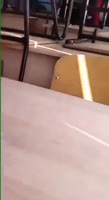 466x852