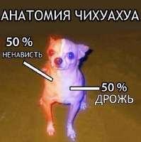 540x542