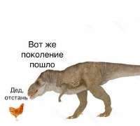 735x664