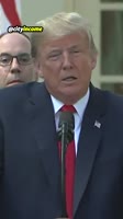 460x816