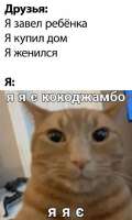 769x1280