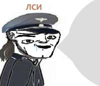 302x261
