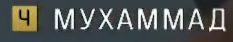 233x42