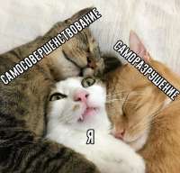 507x489