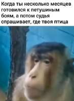 406x554
