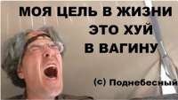 1337x758
