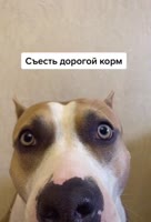 654x960