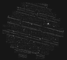 1000x897