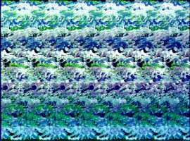 646x479