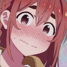 736x736