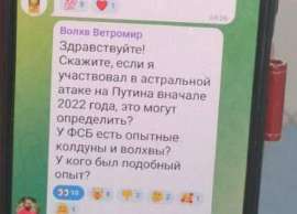 779x561