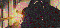 500x240