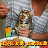PqKkGQDl.жипег