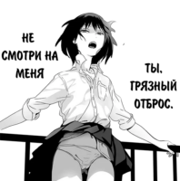 506x512