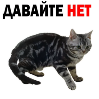 6bT4iSrR.жипег