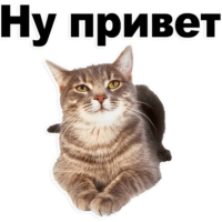 8nrFlKTz.жипег