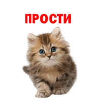 GOMNFuSZ.жипег