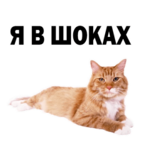 KiPqquBG.жипег