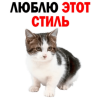 SEVh4nb6.жипег