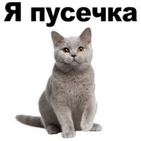TgnAJqSf.жипег