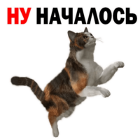 aloVOItD.жипег